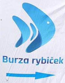 Burza rybiček